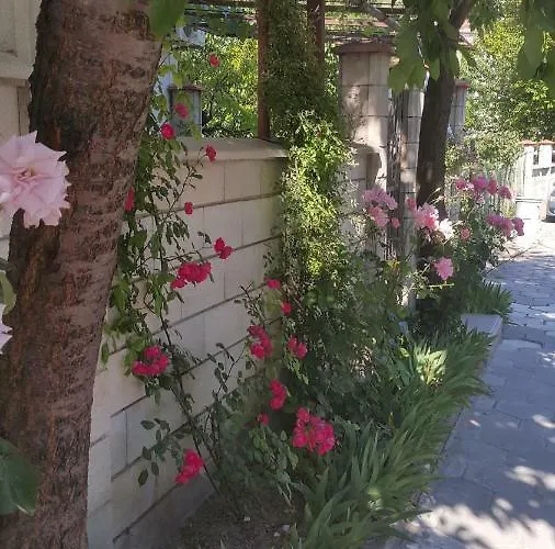 Guest house Fema Balchik