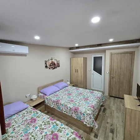 Fema Guest house *